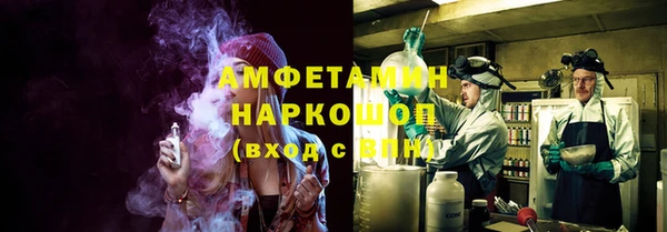 индика Дрезна