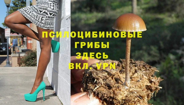 spice Магадан