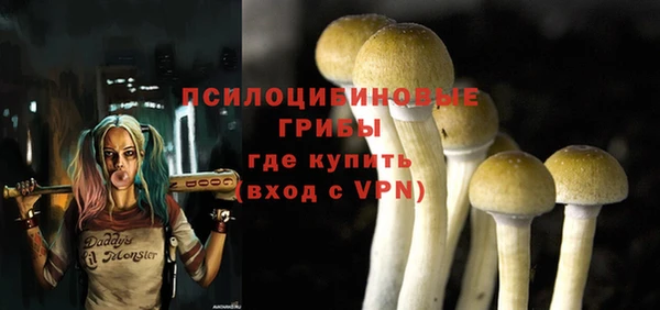 хмурый Дубовка