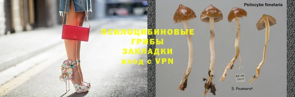 COCAINE Майский