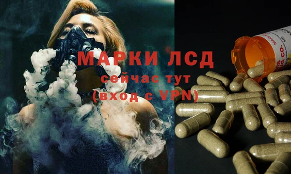 spice Магадан
