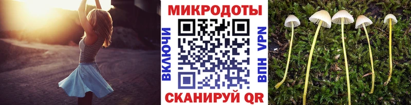 Галлюциногенные грибы ЛСД  где найти наркотики  Кингисепп 
