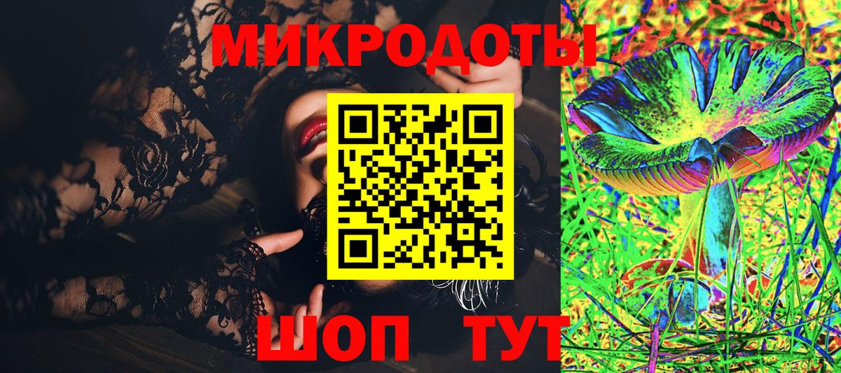 Псилоцибиновые грибы Cubensis Кингисепп