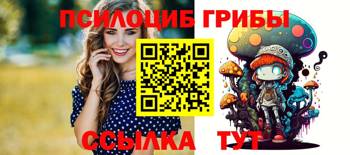 Псилоцибиновые грибы Cubensis  Кингисепп  Псилоцибиновые грибы Psilocybe 