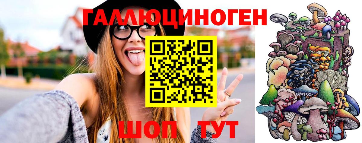 Галлюциногенные грибы мухоморы Кингисепп