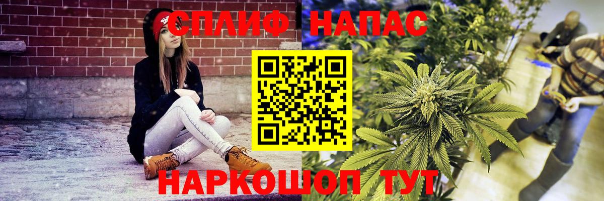 Марихуана OG Kush Кингисепп