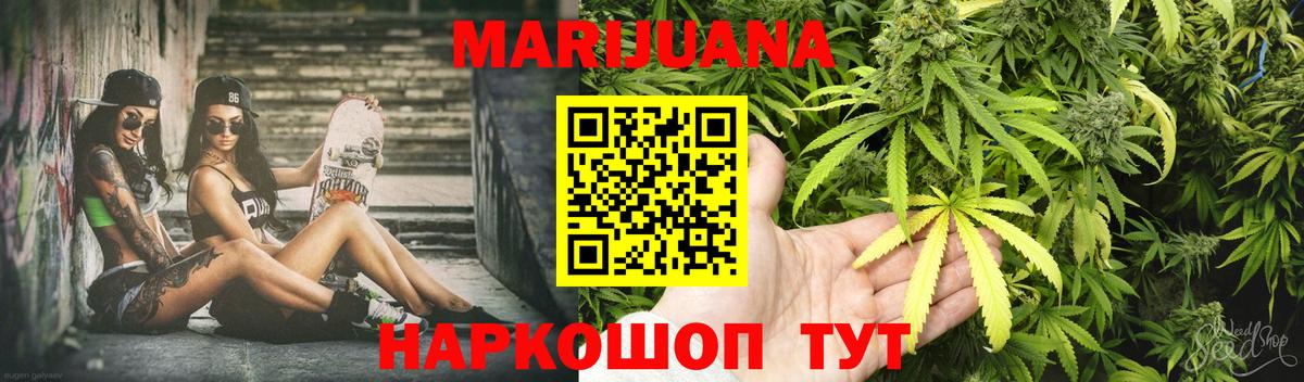 МАРИХУАНА сатива Кингисепп